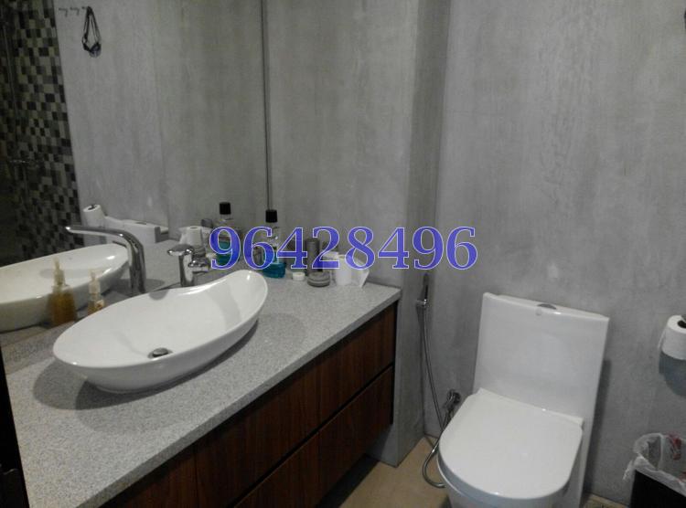 The Sunny Spring (D14), Apartment #80437172